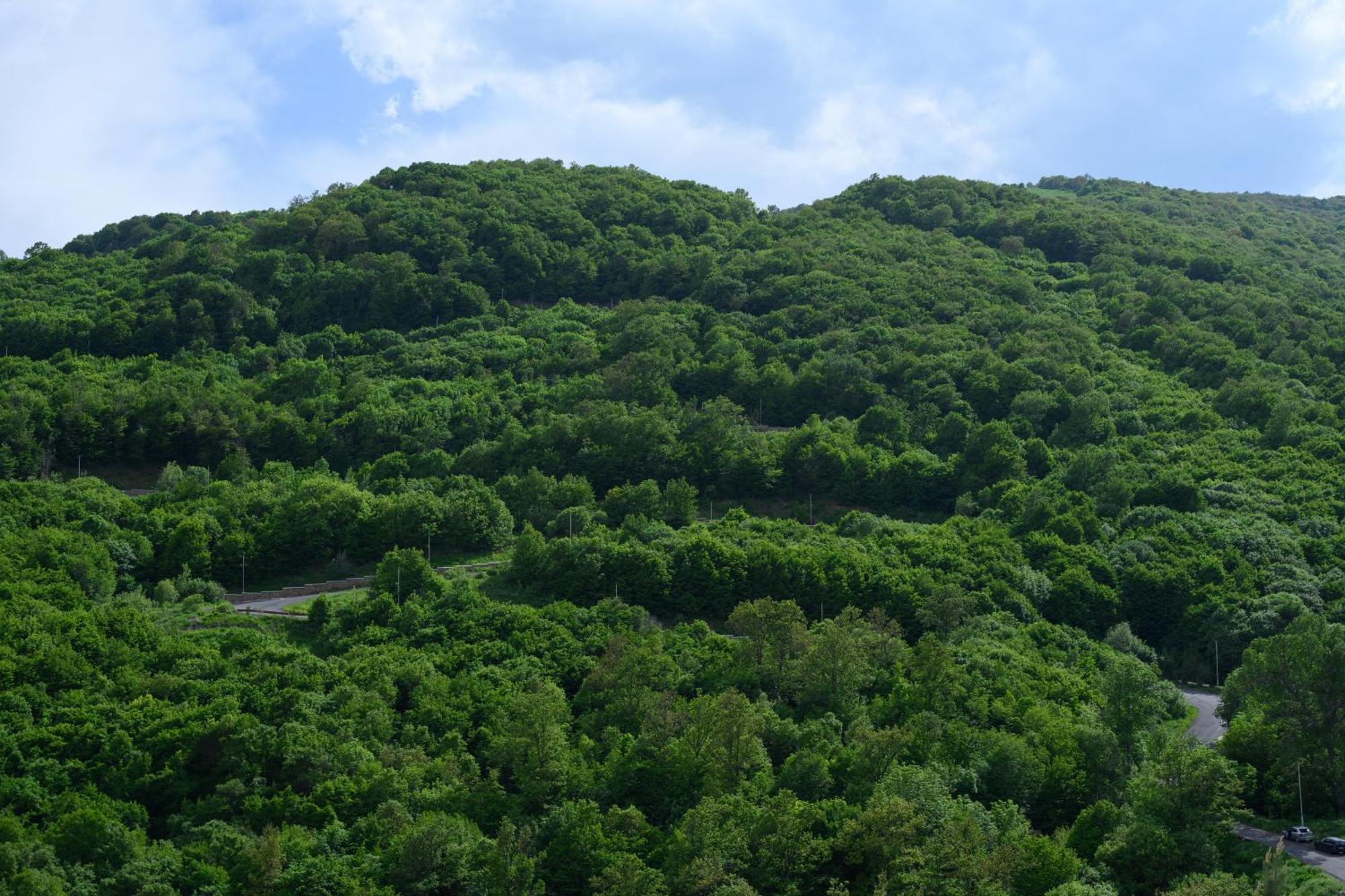 Aurora Resort, Tsaghkadzor Exteriör bild